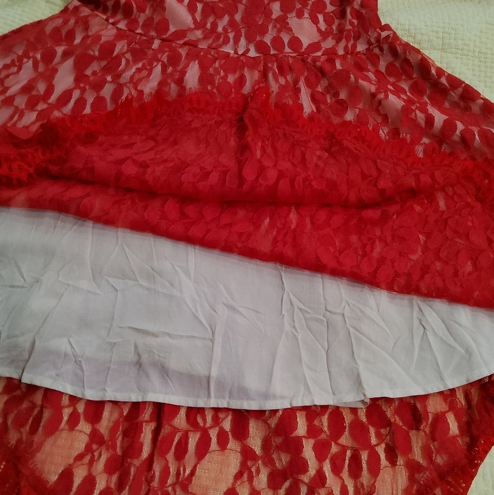 Free People Mesh Lace Fit and Flare Dress Size 12 - Picture 11 of 11